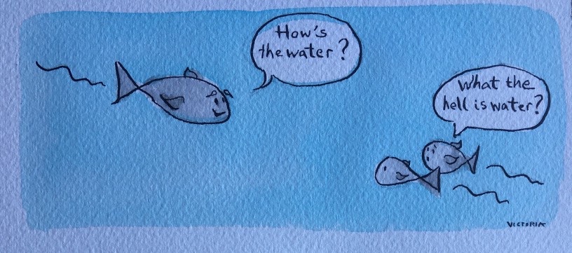 Fish: what is water?