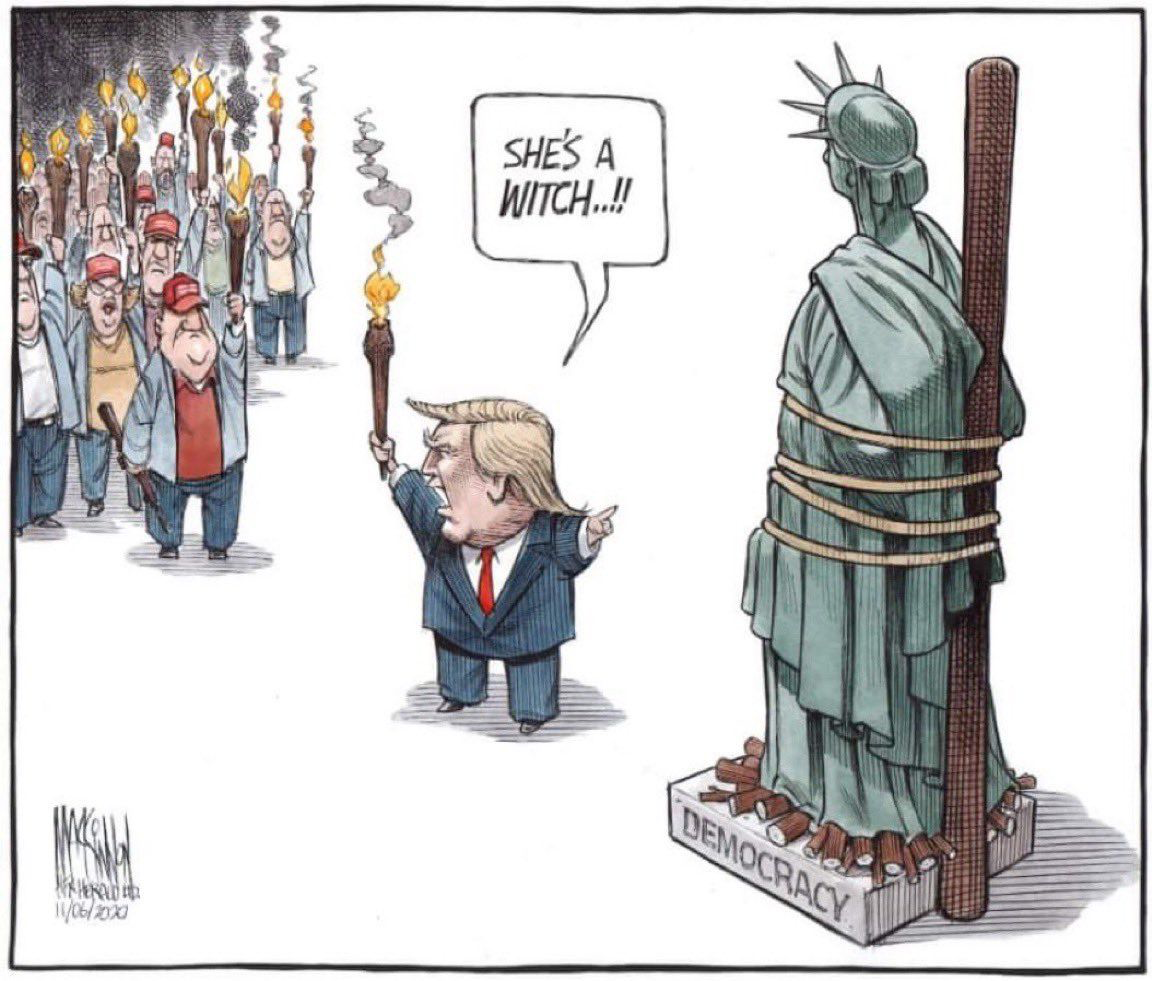 trump cartoon, torching america