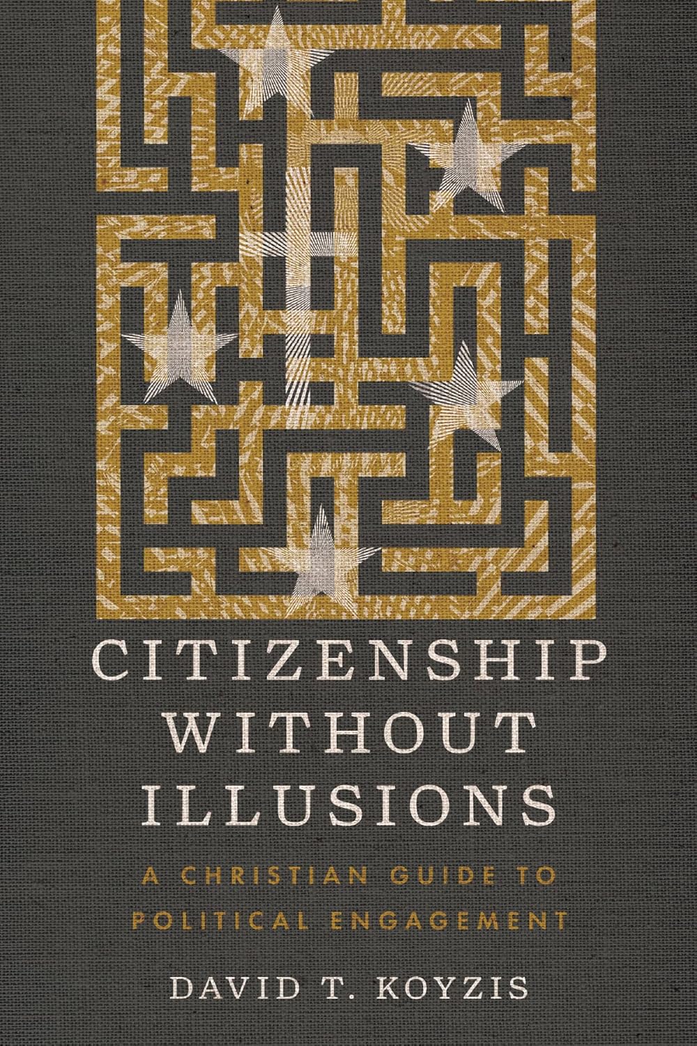 citizenship without illusions book cover, david koyzis