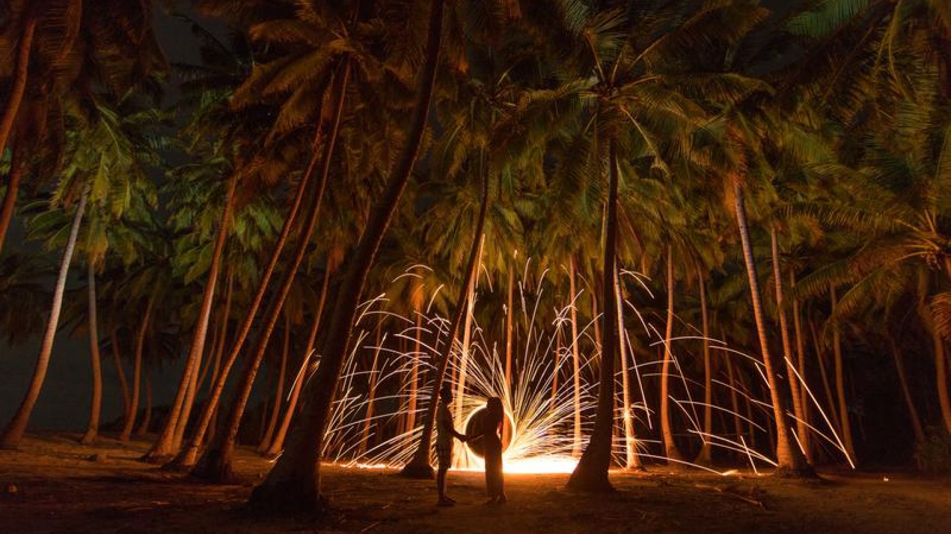 Night sparks and fire in forest