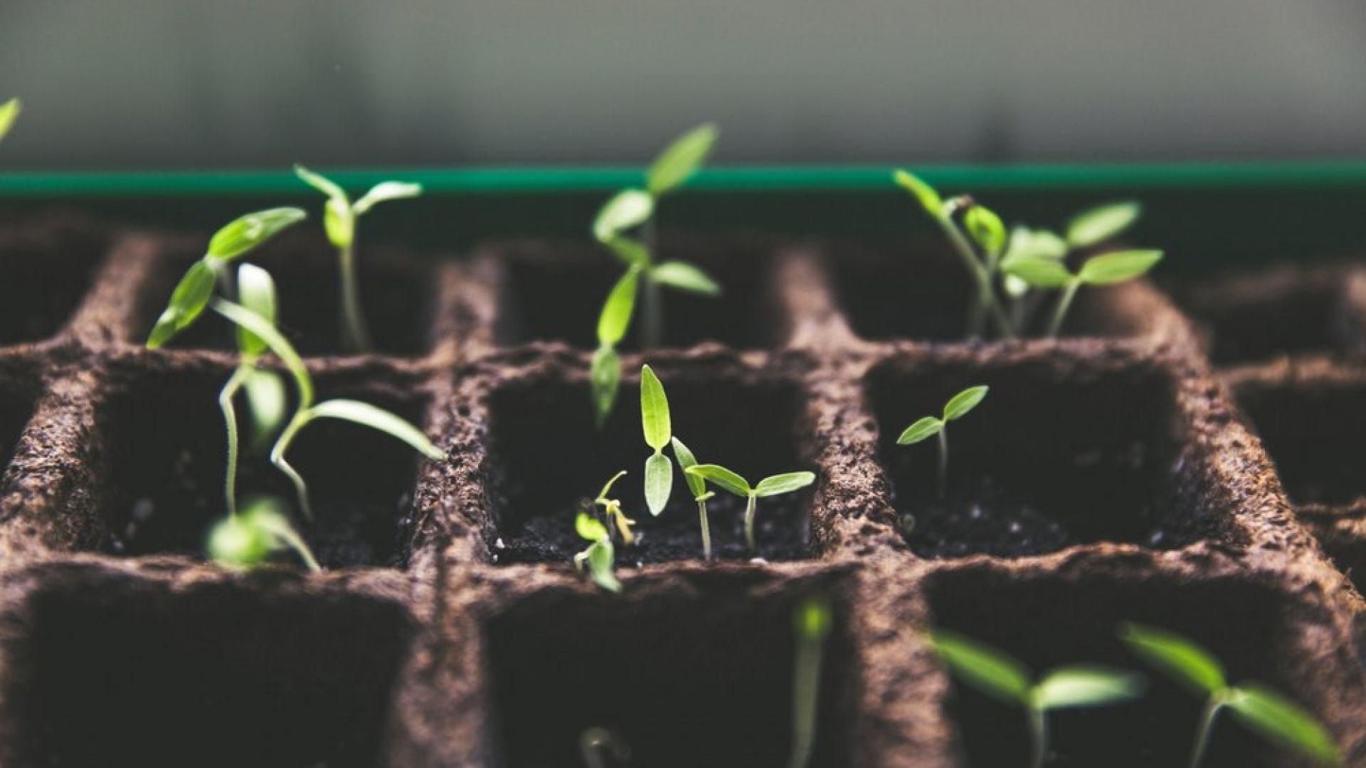 Three Ways to Boost your Sales Effectiveness