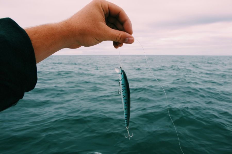 fishing lure, water