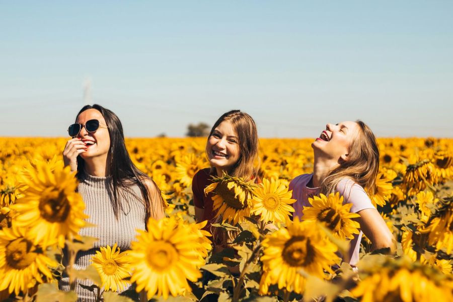 happy laughing women in a sunflower field